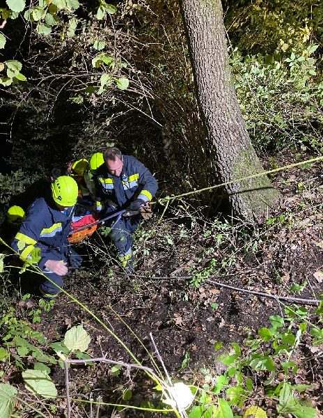 Personenrettung am Vassachersee (Bild 2)